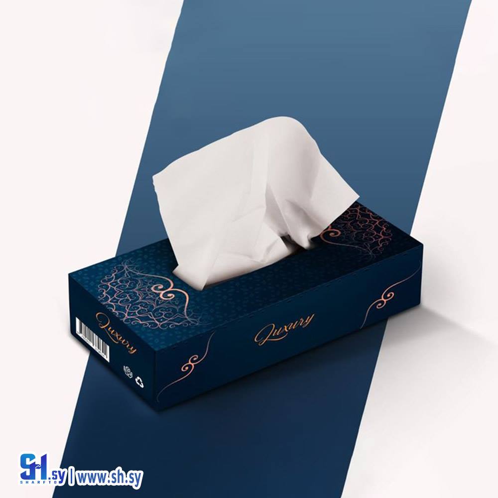 كرتون 44 (الجيرودي)