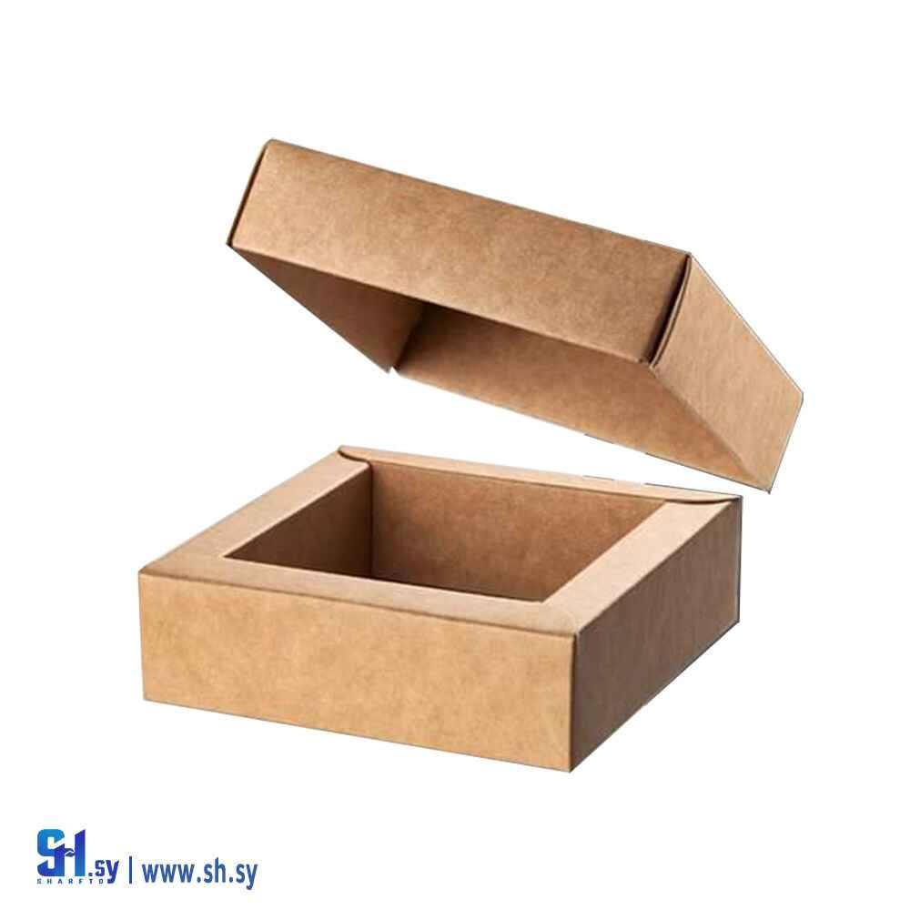 كرتون 9 (مصطفى شيباني)