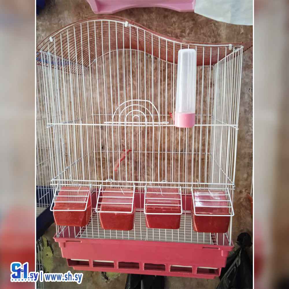 قفص كبير 4 (بيرد مارت)