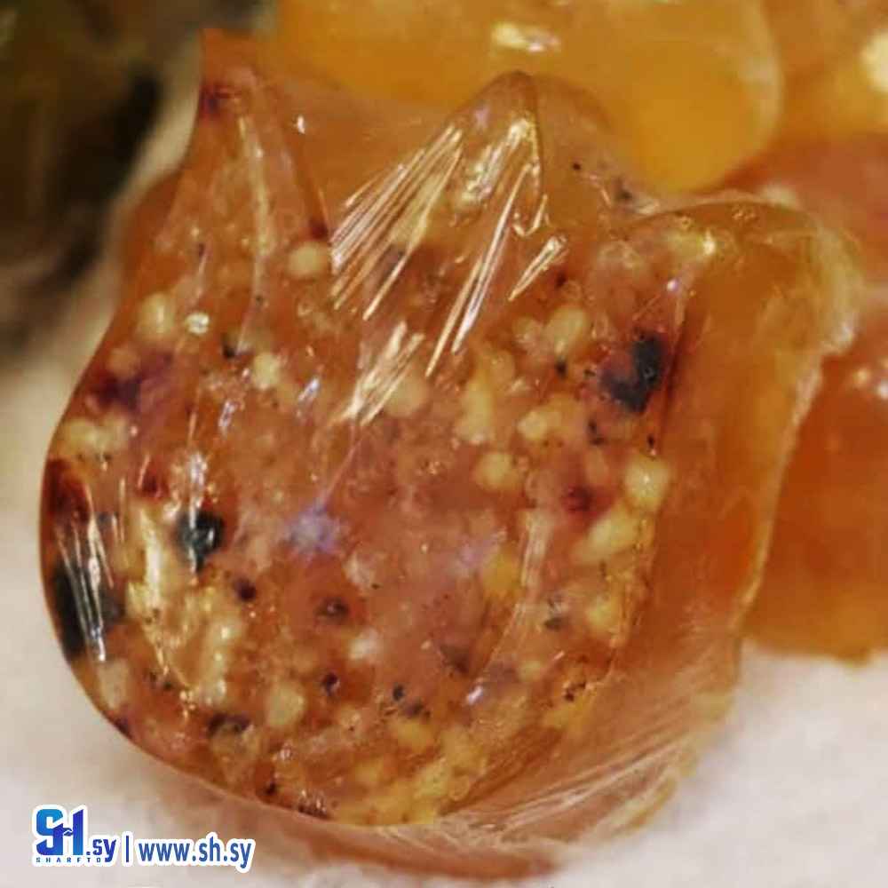 صابونة لبان الذكر (Peit Ramon)