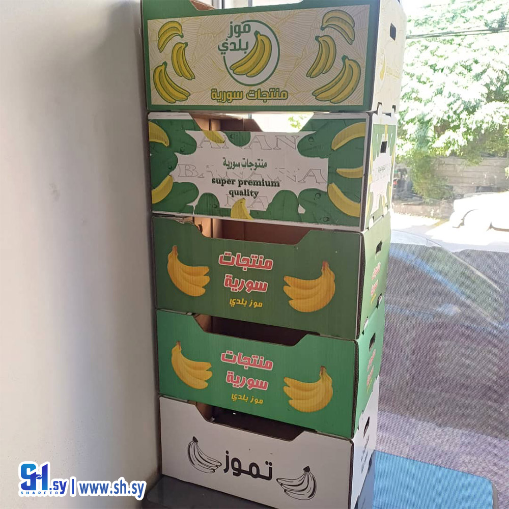 كرتون 2 (يورو باك)