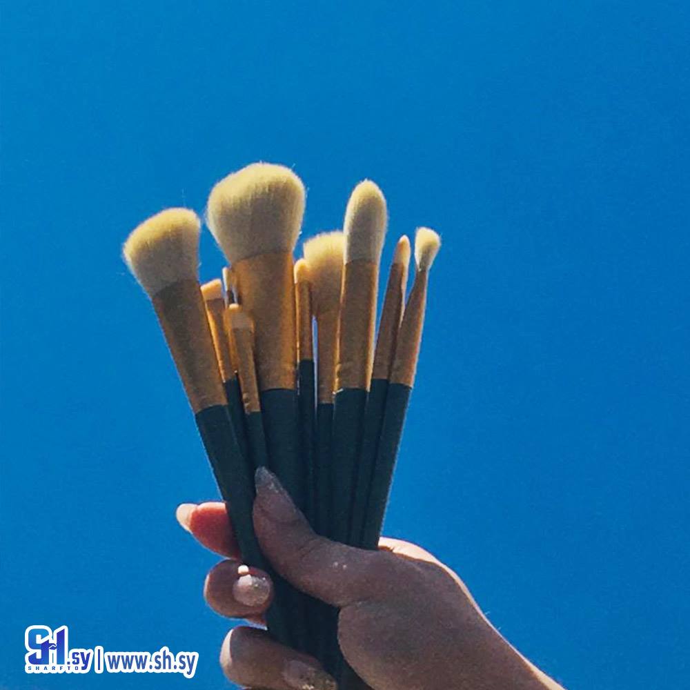 فراشي مكياج 10 قطع (متجر كارلا)