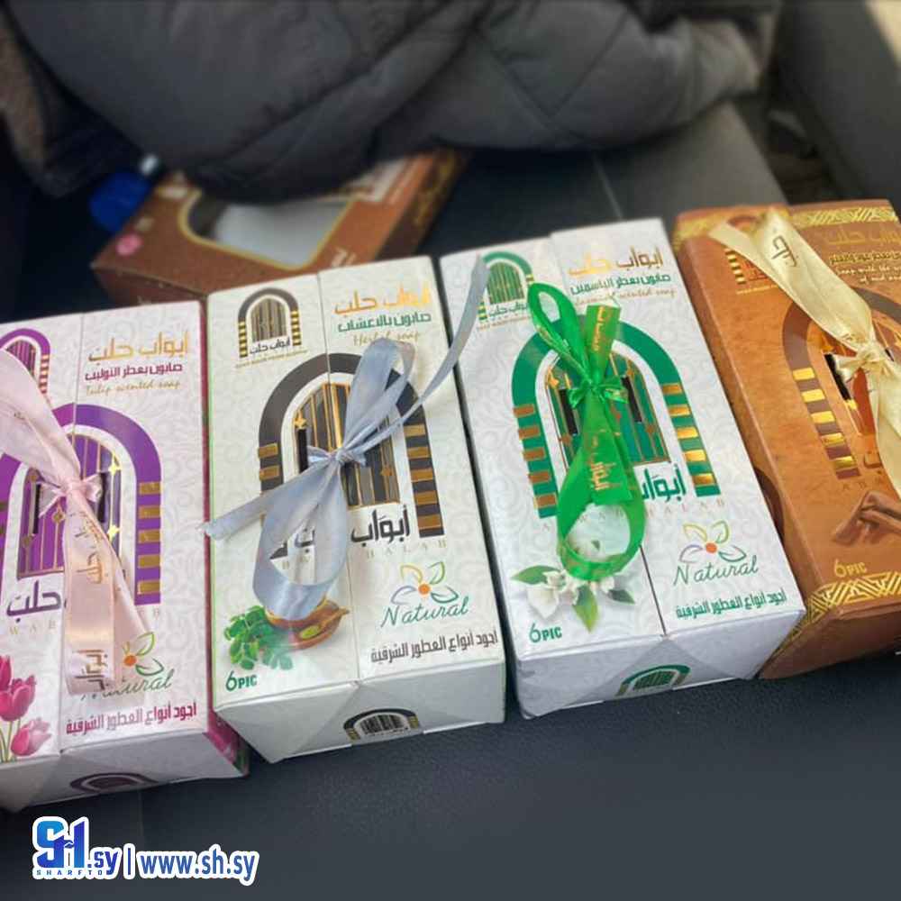 كرتون 14 (مصطفى شيباني)