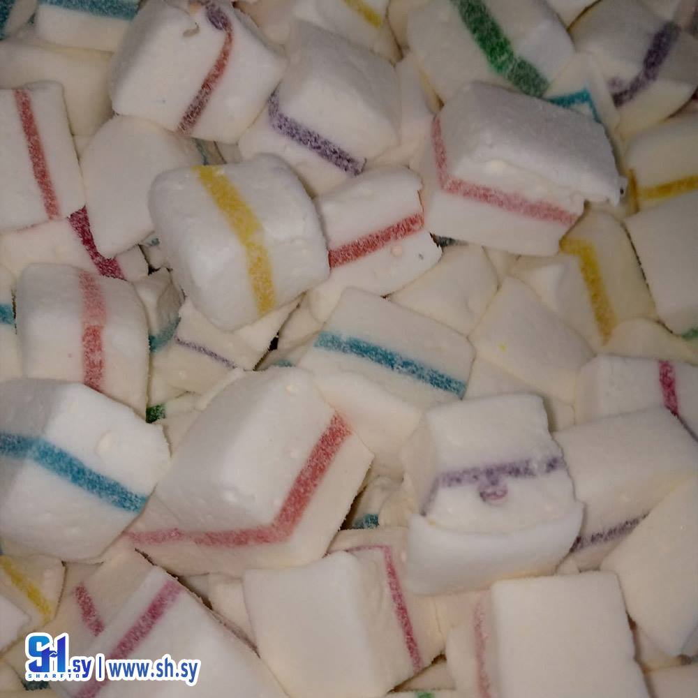 مارشغوم (مؤسسة القادري)