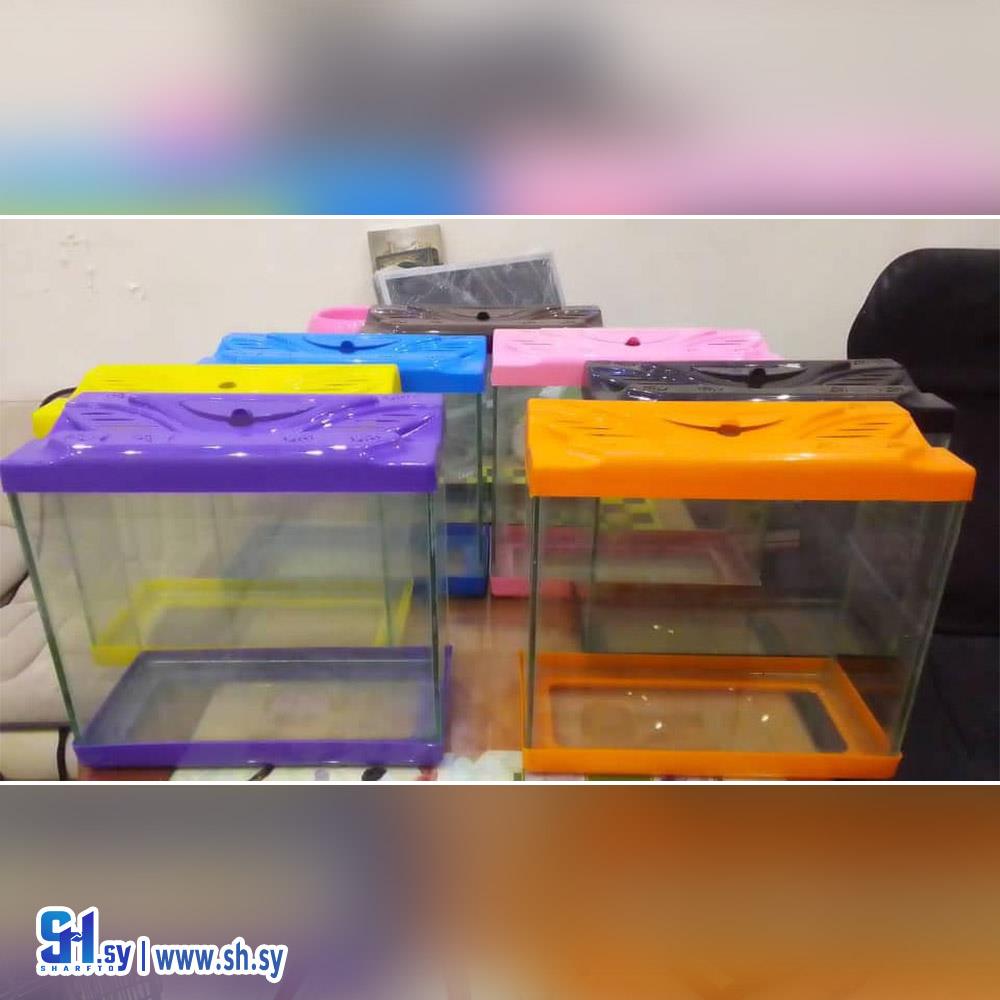 حوض سمك زجاجي (أقفاص الصافي)