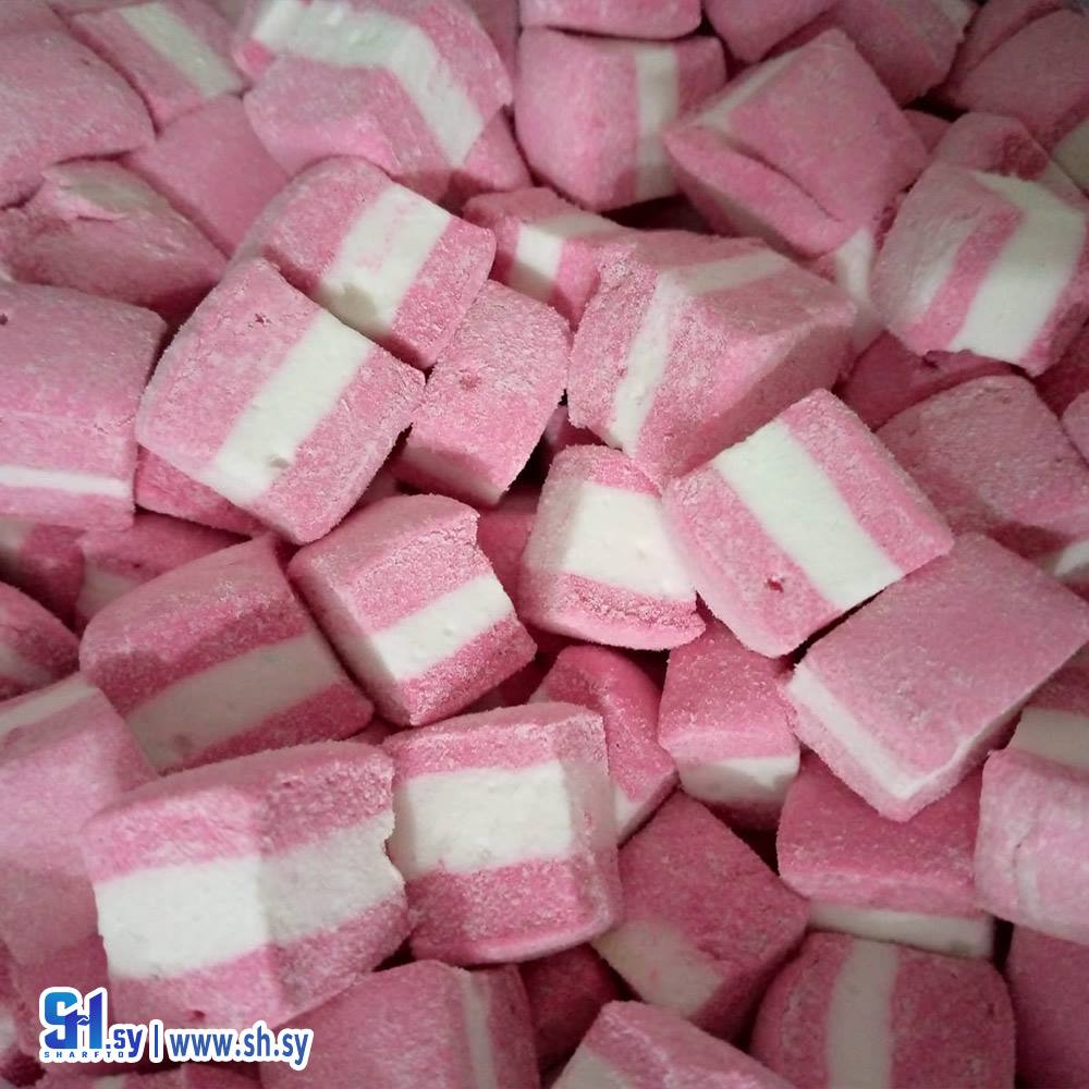 مارشميلو زهري (مؤسسة القادري)