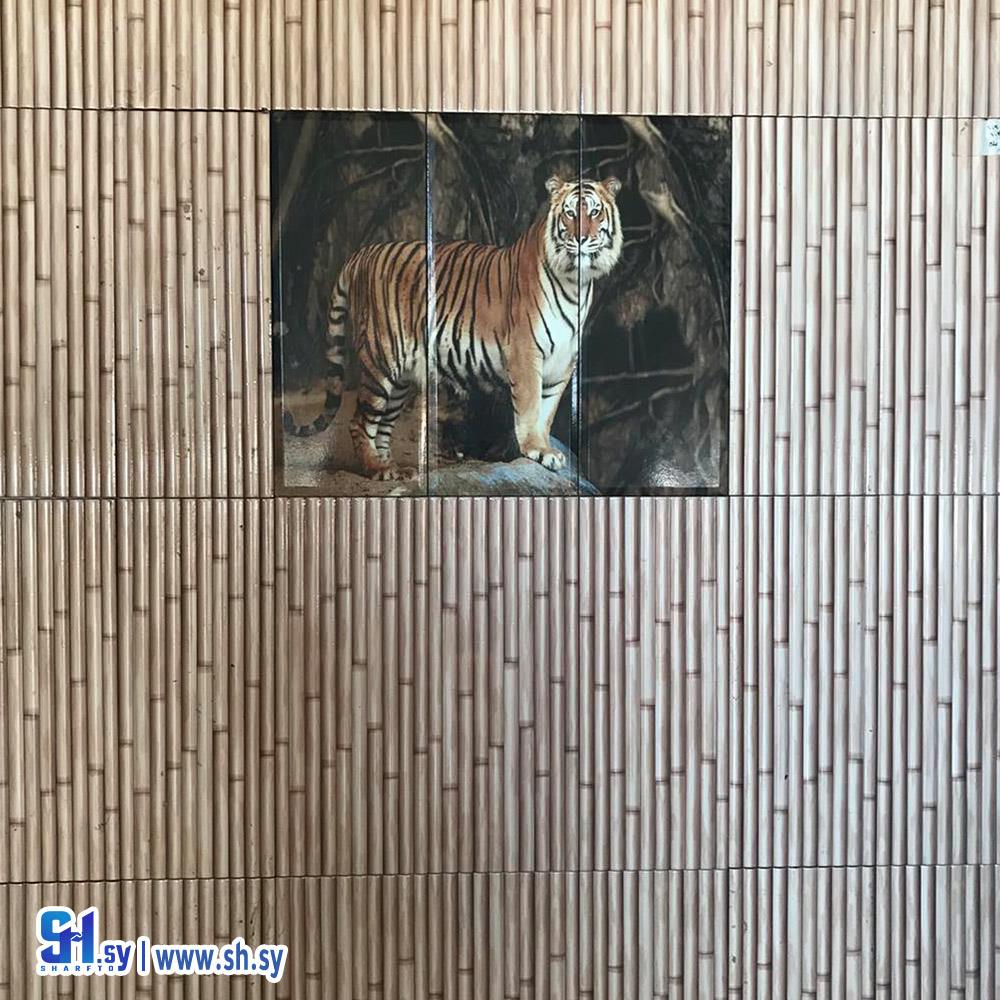 سيراميك 20 (سمير قدور)