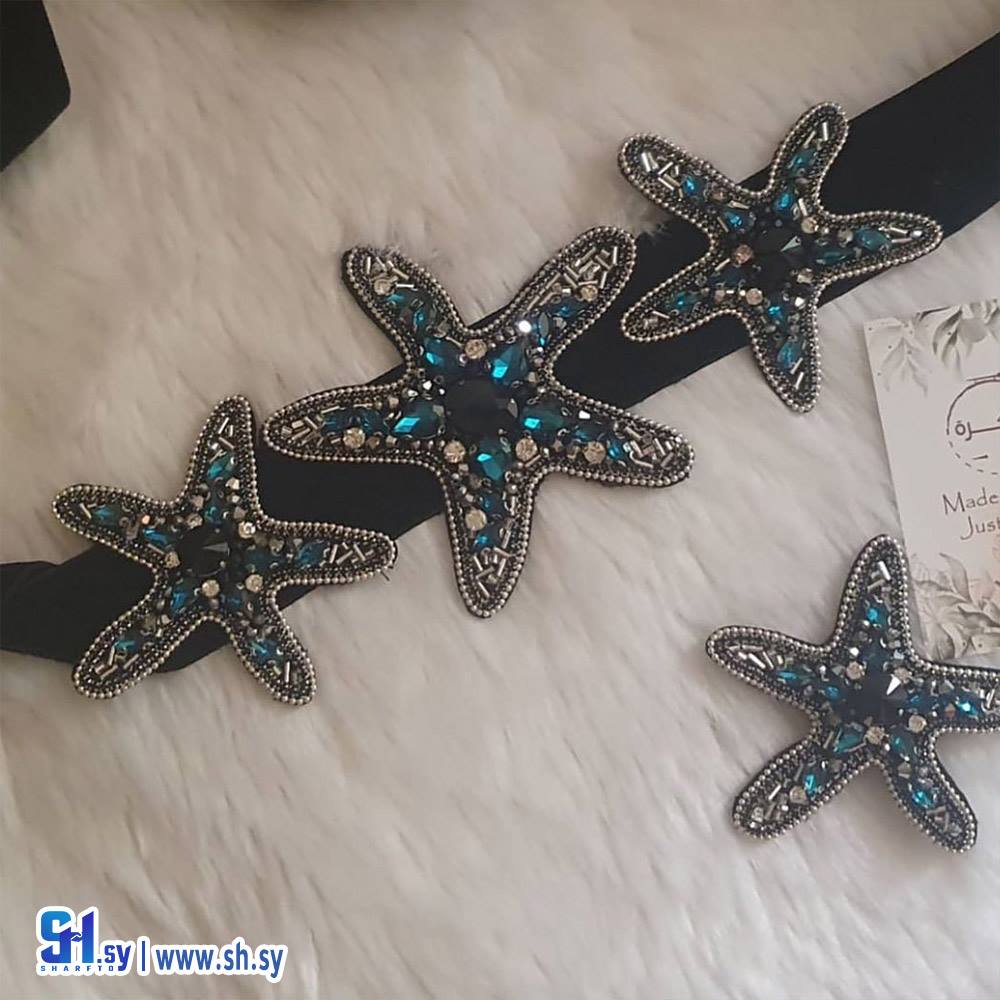 بروش موديل النجم  (كذا فكرة)