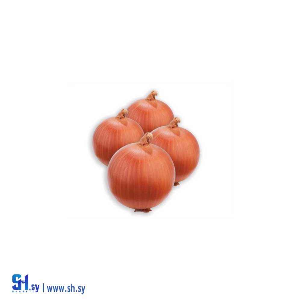بصل دوران Doran (غراس النشاوي الزراعية)