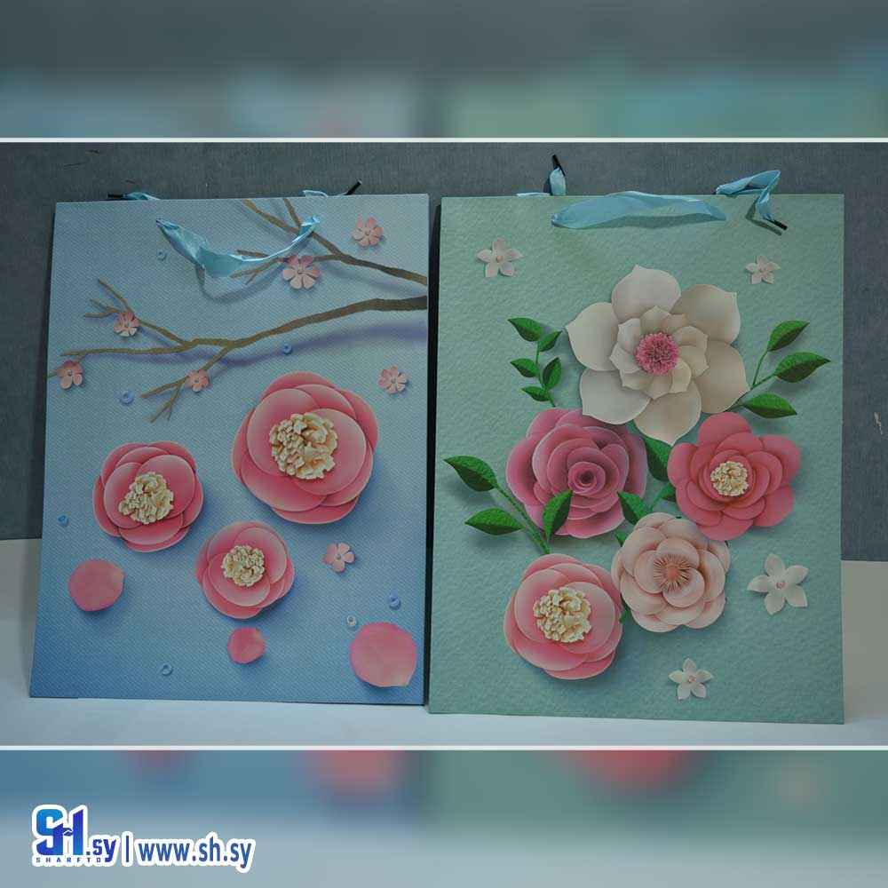 كيس كرتون 11 (بيرويا)