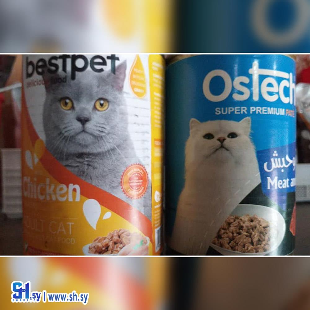 طعام قطط بنكهات مختلفة (بيرد مارت)