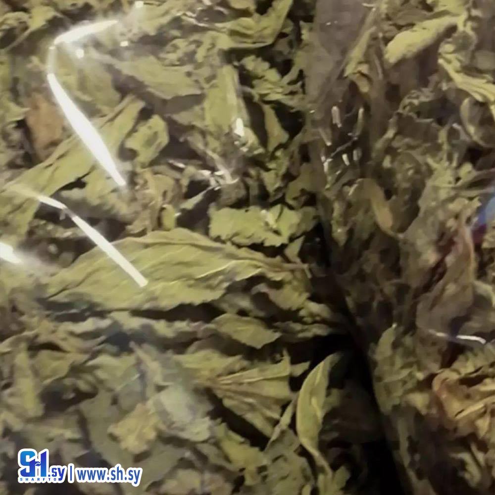 ملوخية ورق يابسة (مونة ستي)