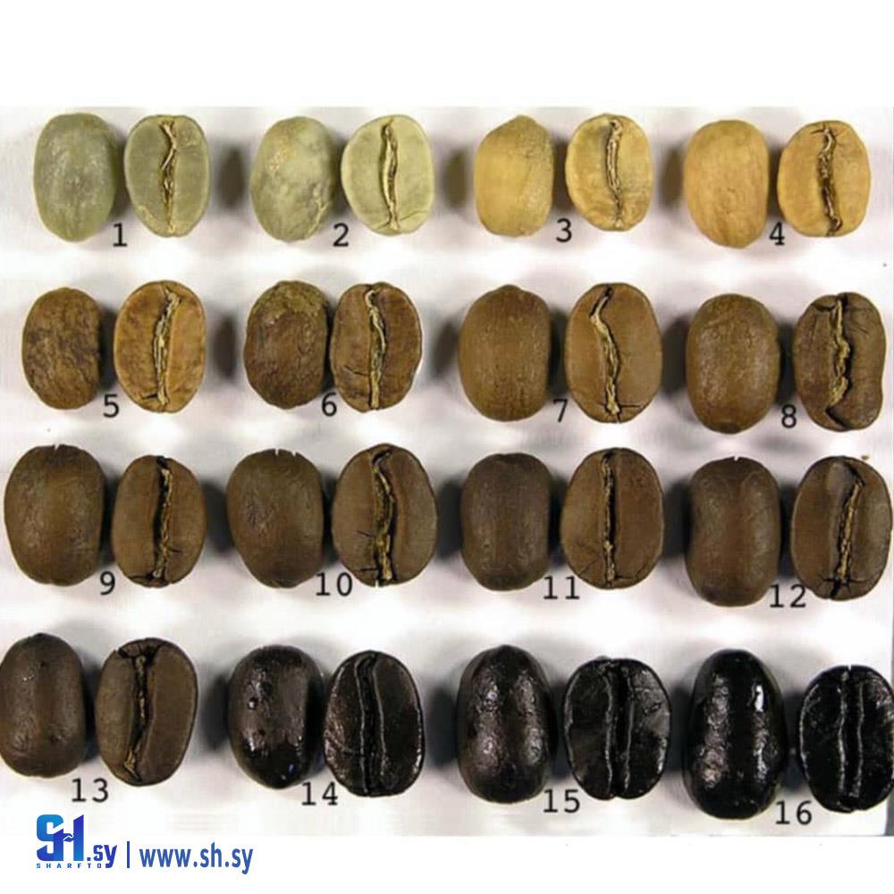 بن محمص (محمصة المحيط)