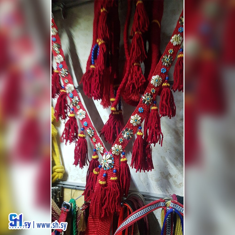 رسن الخيل 7 (السيروان)