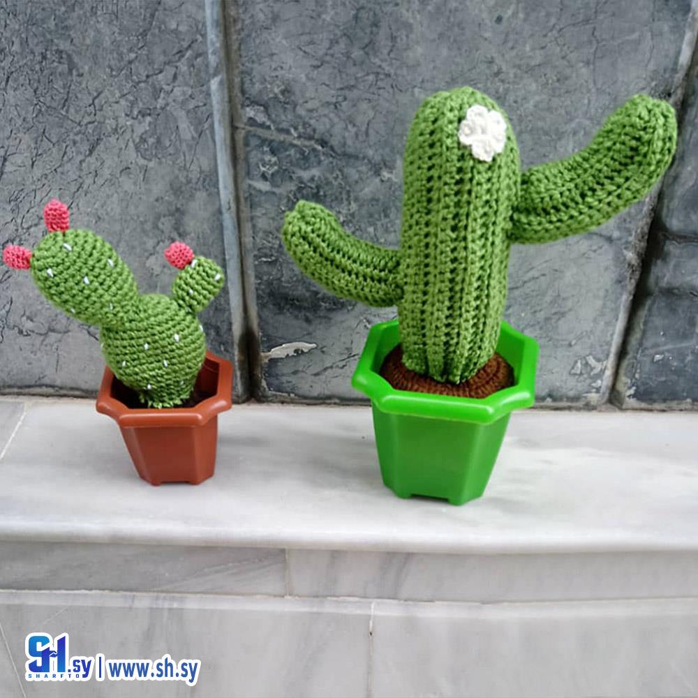 صبارة كروشيه (الأمل للأعمال اليدوية)