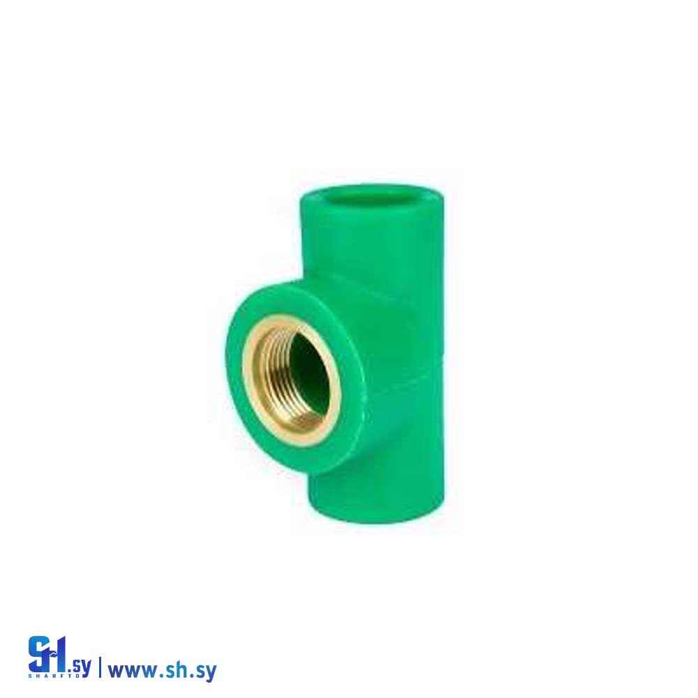 تيه بسن أنثى ( شركة سيريوس غروب )