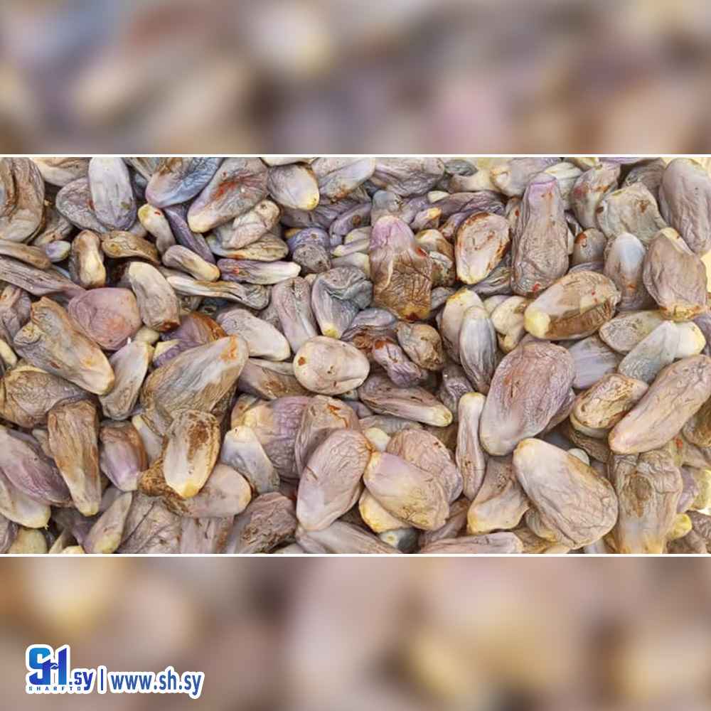 باذنجان مسلوق مجفف (علي يوسف)