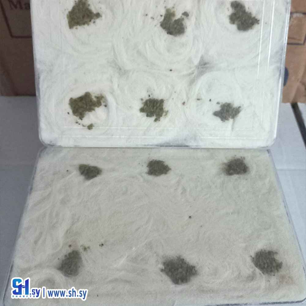 غزل البنات (أولى الشام)