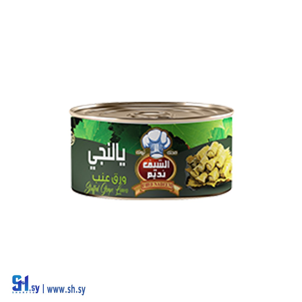 يالنجي 400G