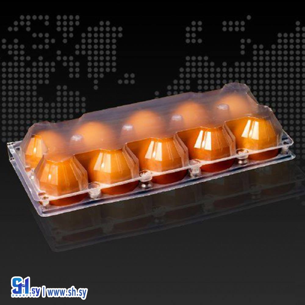 ستاند بيض 10 قطع (اطلس بلاست)