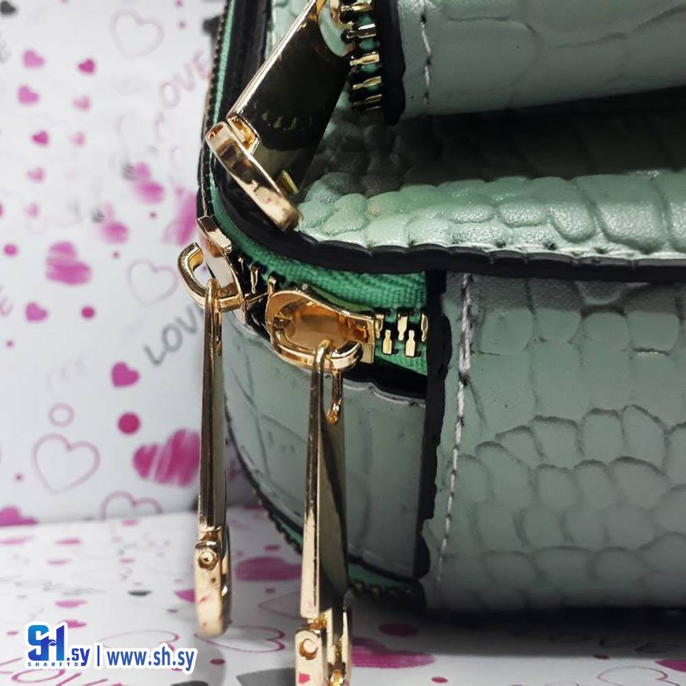 حقيبة يد نسائية ماركة مايكل كورس (CM Bags)