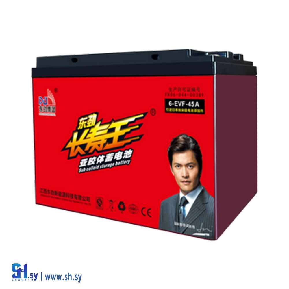 بطارية دونجين 6EVF (AGS)