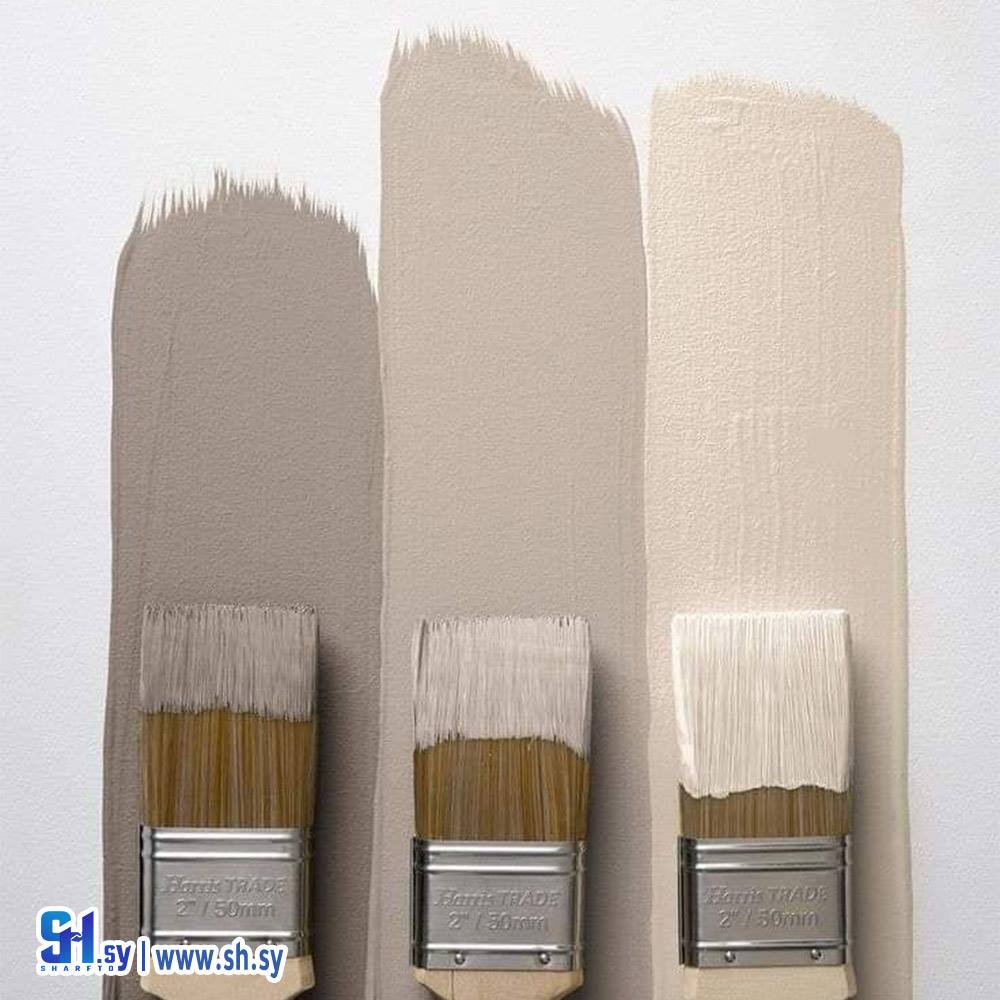 مجموعة فراشي دهان 1 (رعد لدهانات)