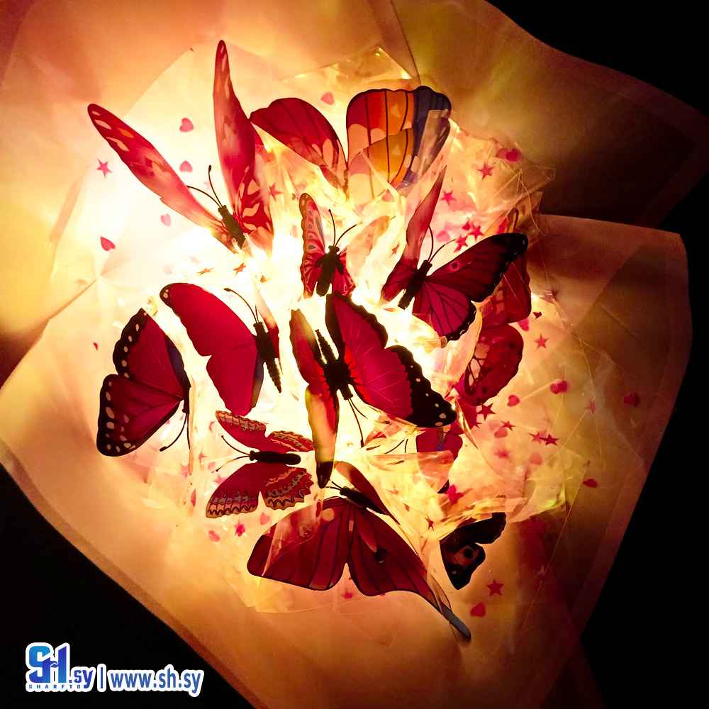 باقة فراشات مضيئة (Memo Gifts)