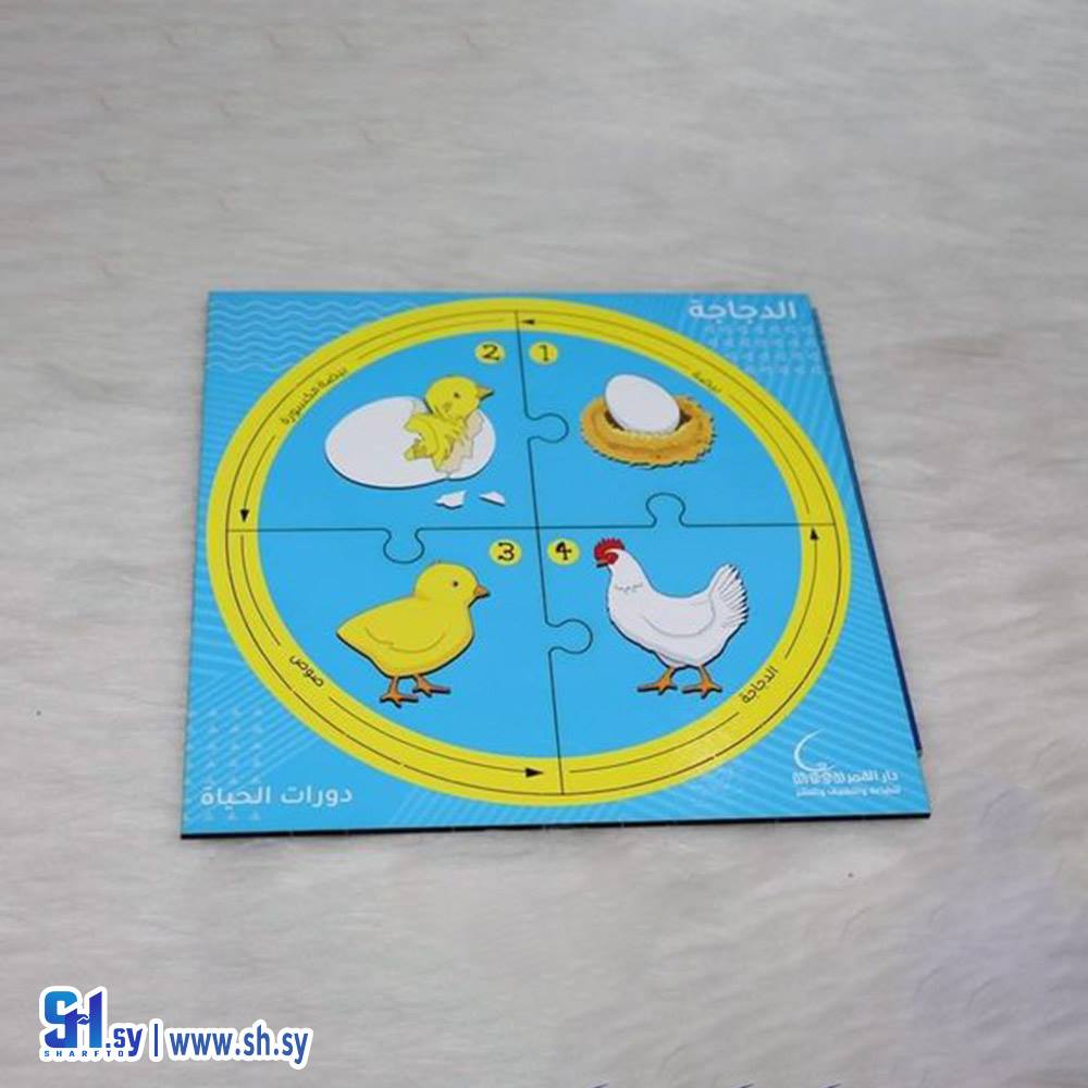 صندوق بزل دورات الحياة الخشبية (دار النخبة)