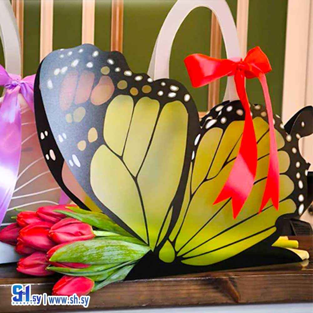 كرتون الفراشة (بيرويا)