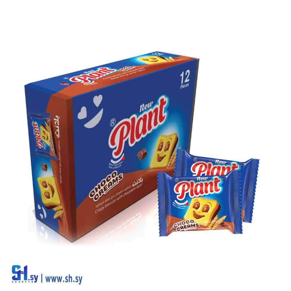 بسكويت بلانت بالشوكولا (chello)