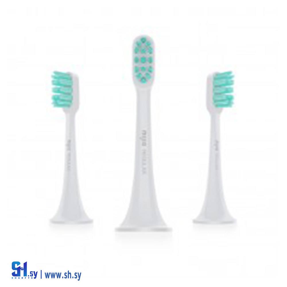 رؤوس فرشاة اسناة شاومي 2 (خط الأفق)