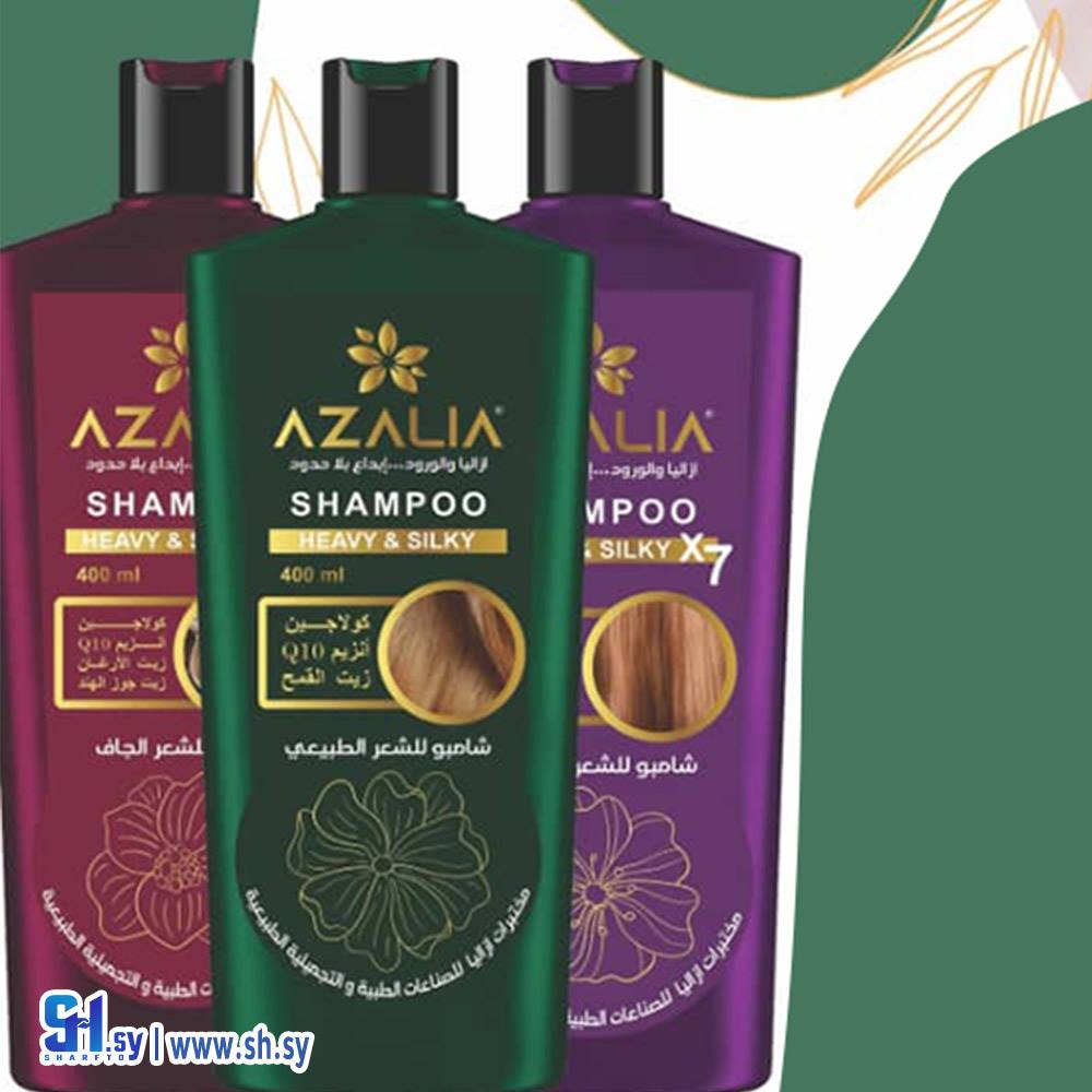 شامبو الشعر (أزاليا)