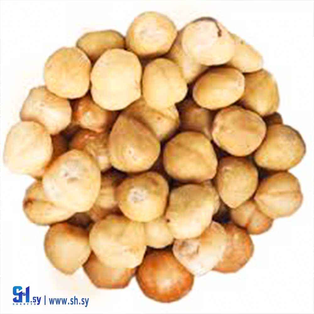 بندق (سكر نبات)