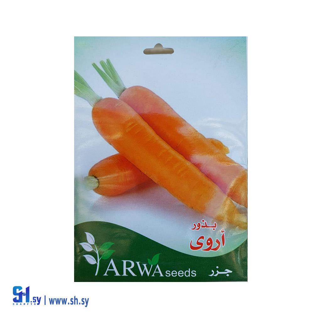 بذور جزر (صيدلية الحصني)