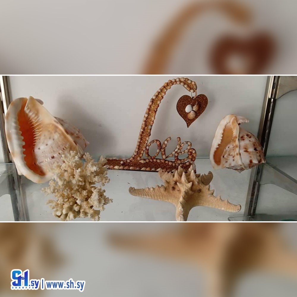 ستاند 6 (صدفيات الساحل)