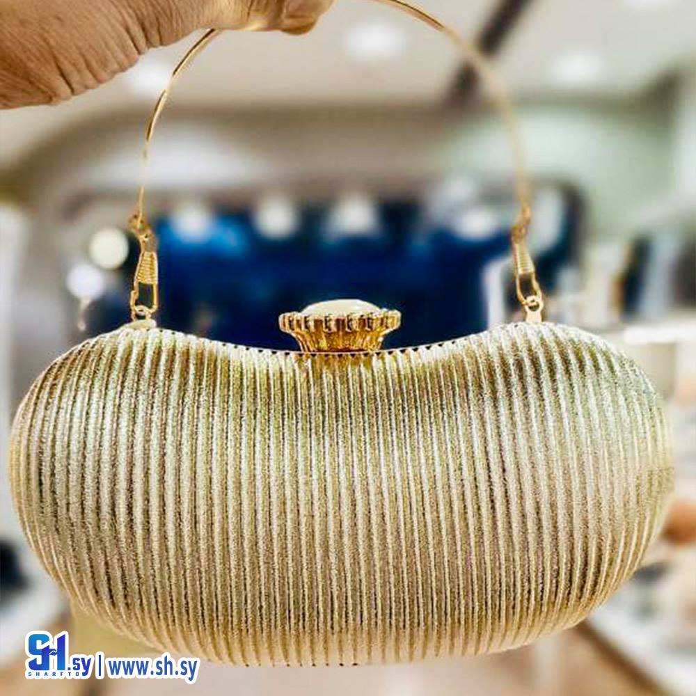 حقيبة سهرة نسائية حجم صغير (أحذية لارين)