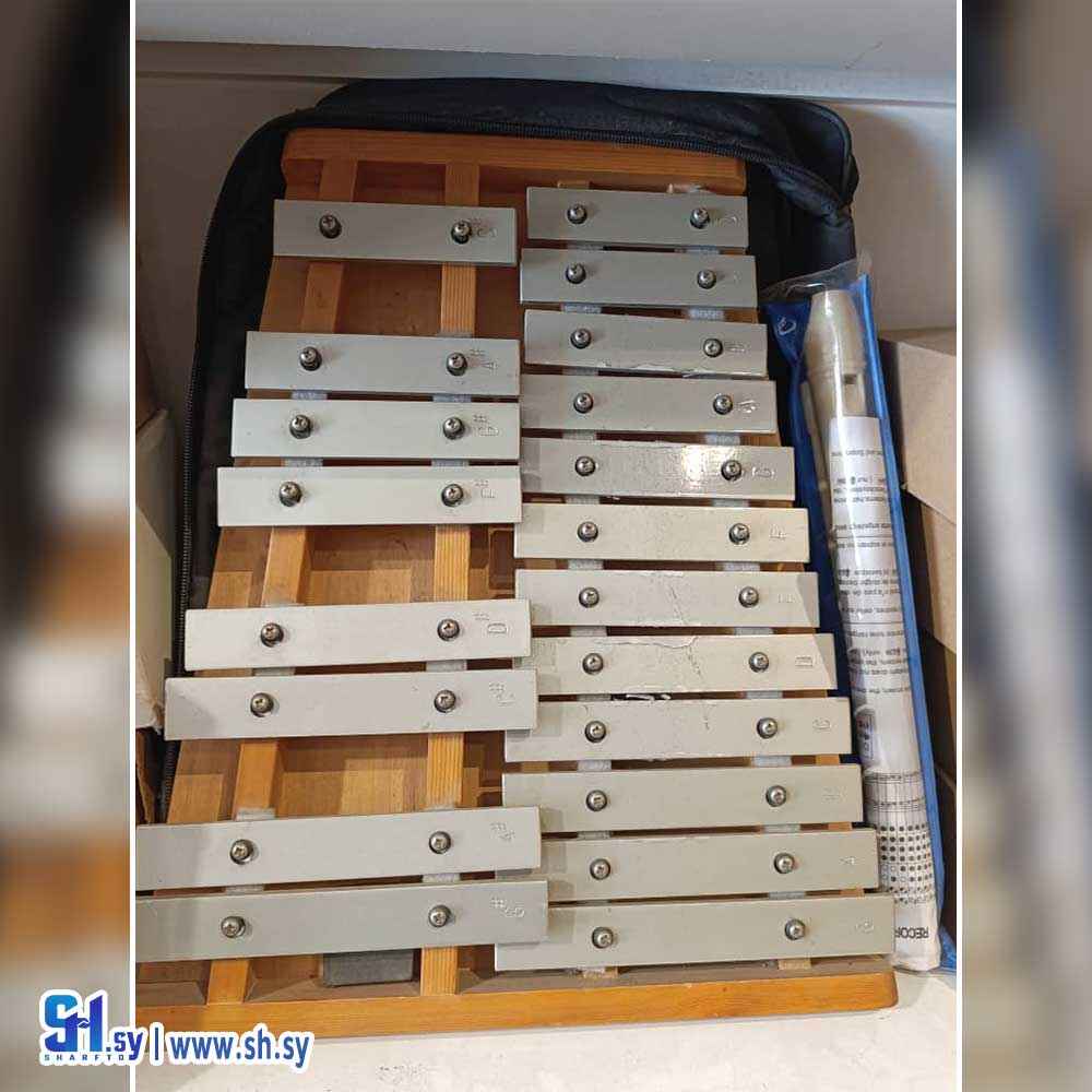 إكسيليفون خشبي مكون من 20 مفتاحًا معدنيًا (الشرق الأوسط للموسيقى)