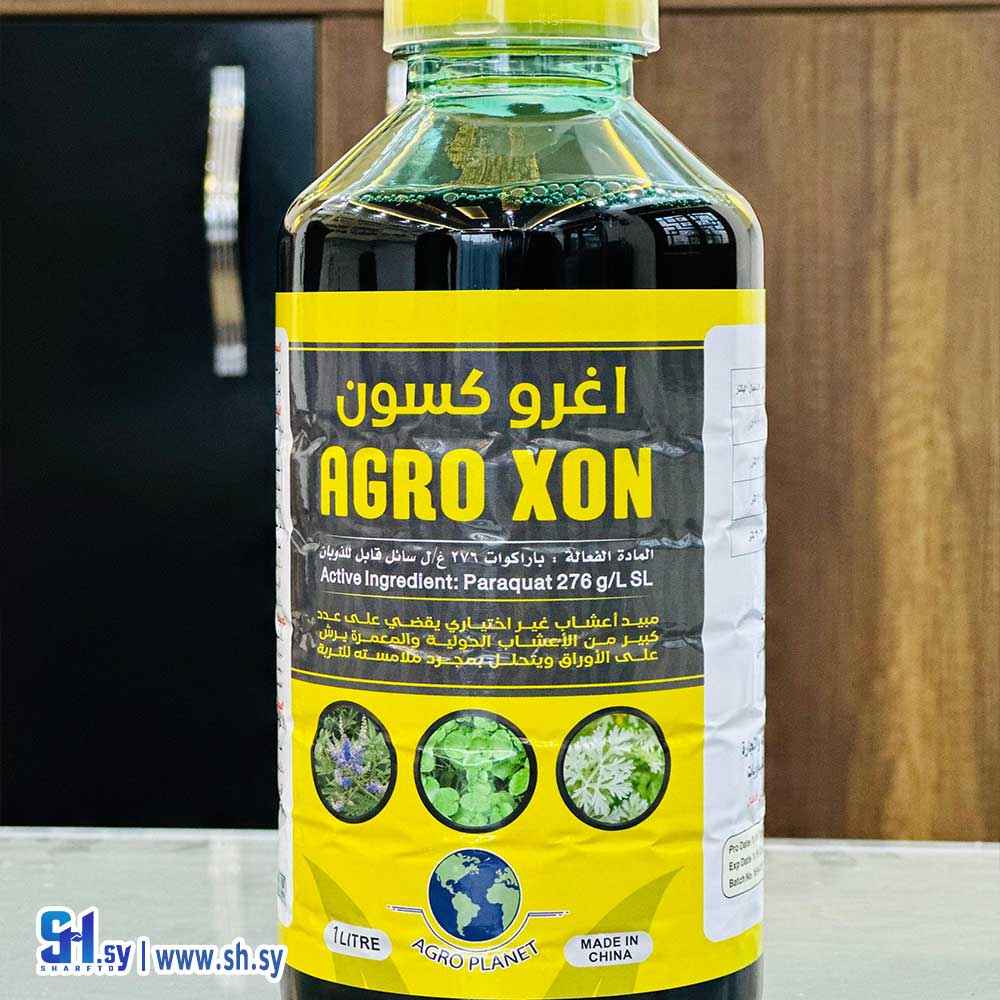 اغرو كسون (آسيا تاريم)