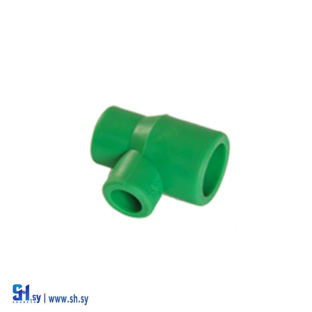 تيه مخالف (ريان بلاست)