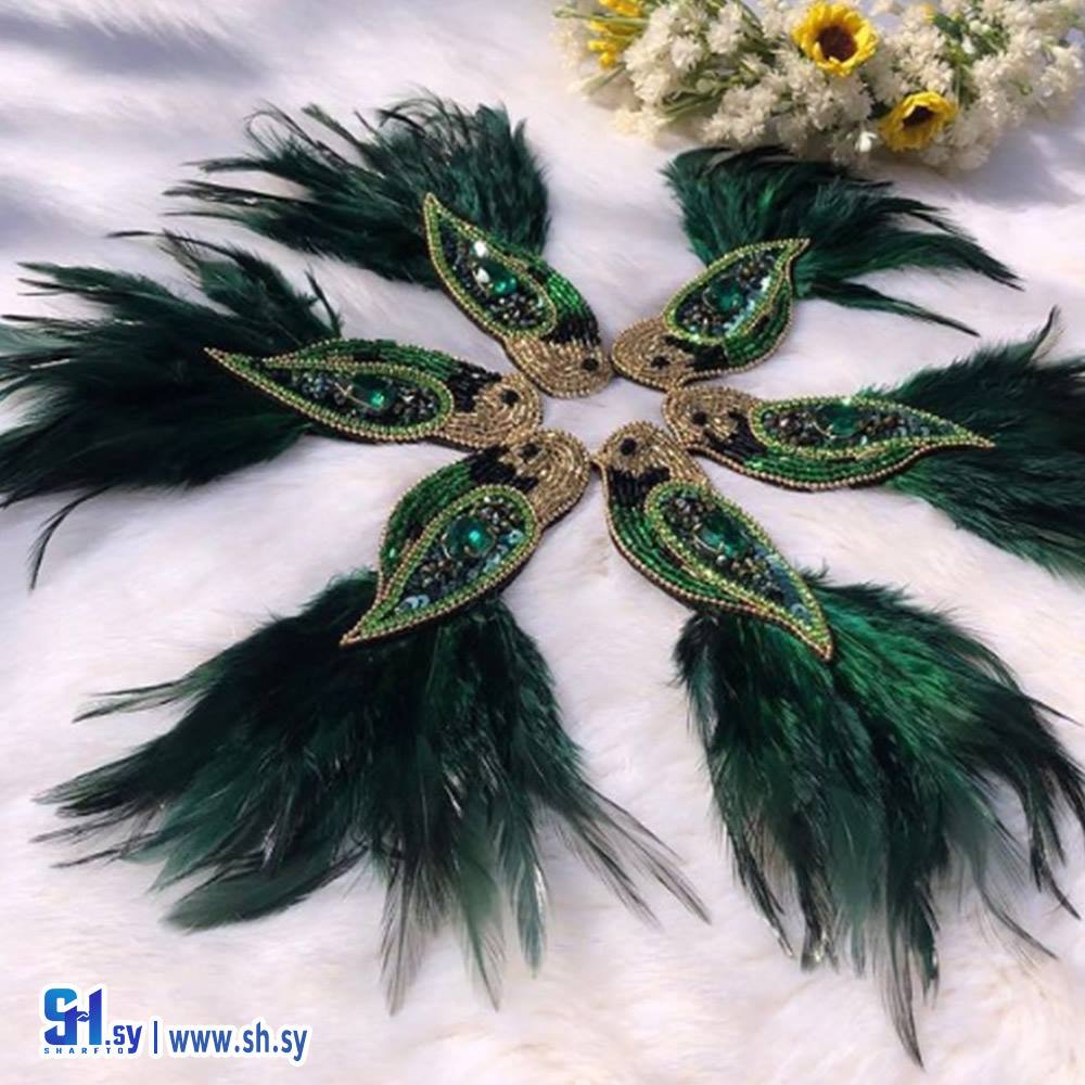 بروش الطير (كذا فكرة)