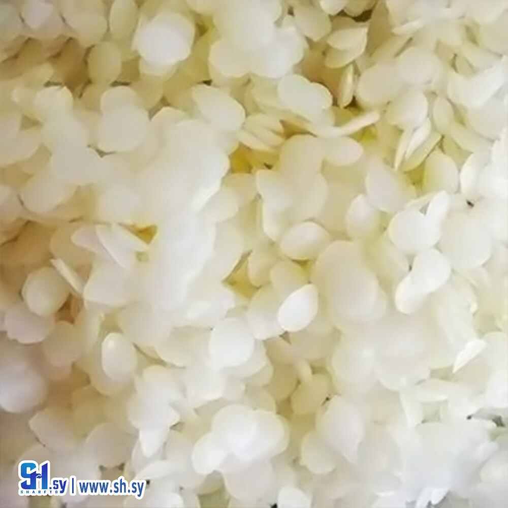 لانيت O (House Company)