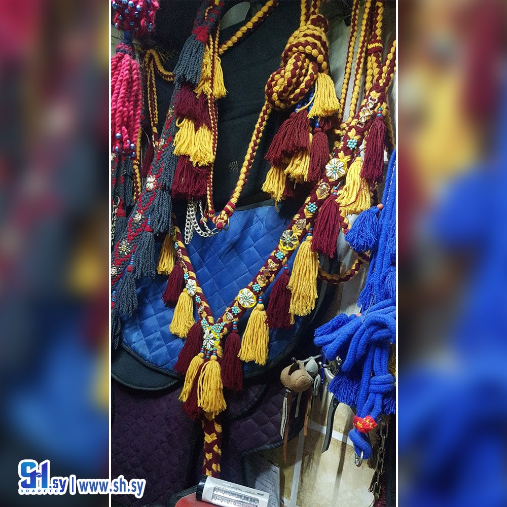 رسن الخيل 8 (السيروان)