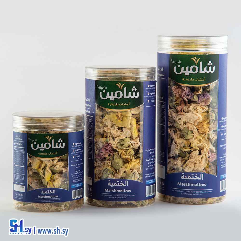 الختمية (شامين)