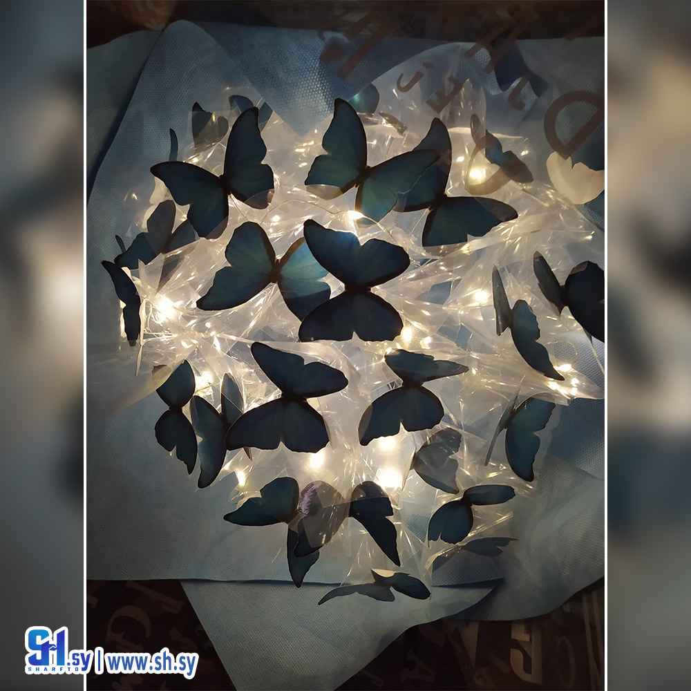 باقة ورد فراشات (رنيم عبود)