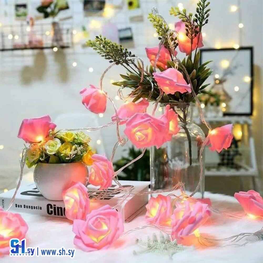حبل ورد إيفا(Aljabi Shopping)