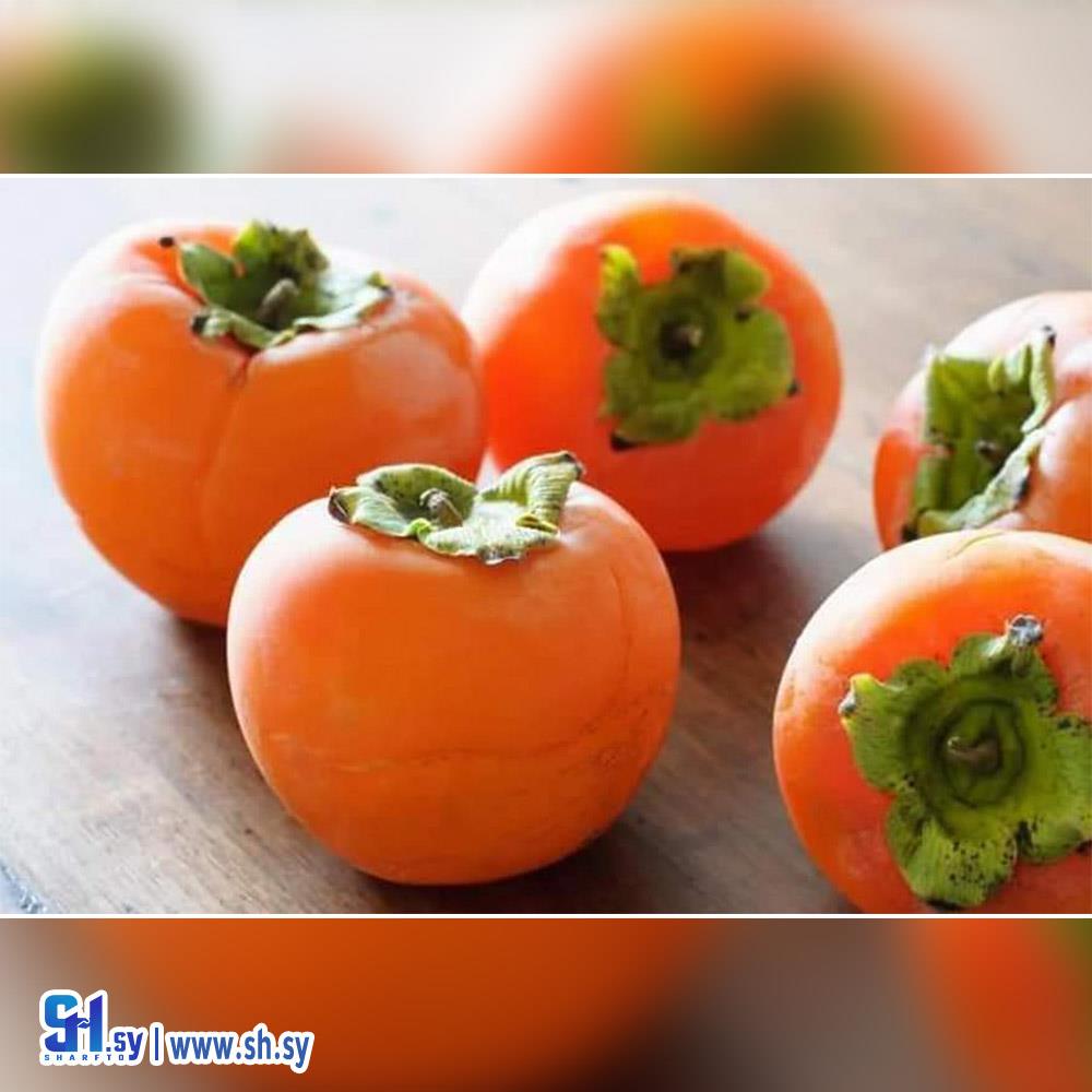 شتل خرما منغا كاكي (مشتل الياسمين)