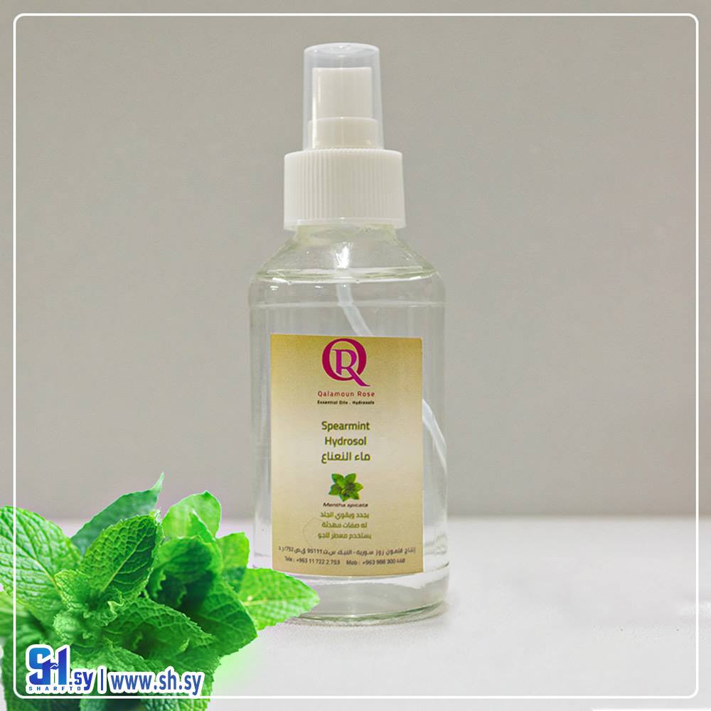 ماء النعناع (قلمون روز)