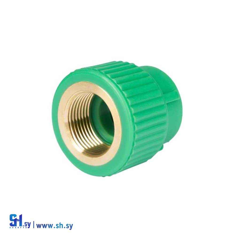 اكره بسن أنثى  ( شركة سيريوس غروب )