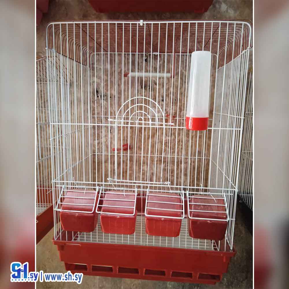 قفص كبير 6 (بيرد مارت)